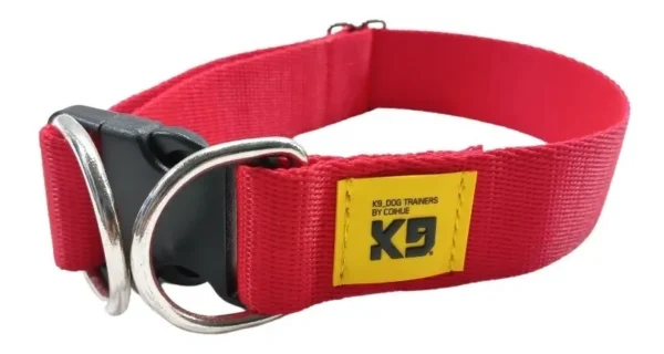 Collar Perro Regulable Mascota Entrenamiento 40mm De Ancho